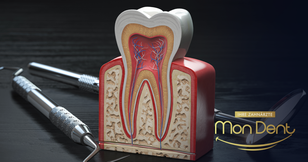 endodoncija